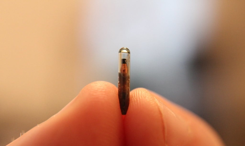 Microchip. (Foto: Dan Lane/Flickr)