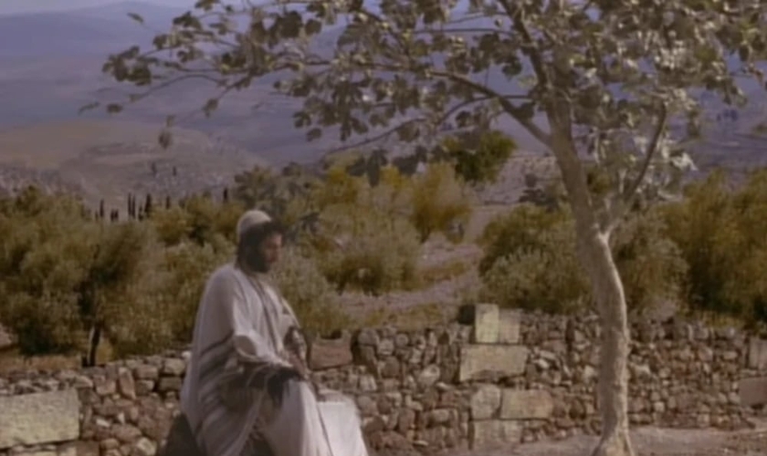 LEGENDA: Personagem Bartolomeu. (Captura de tela Fandom)