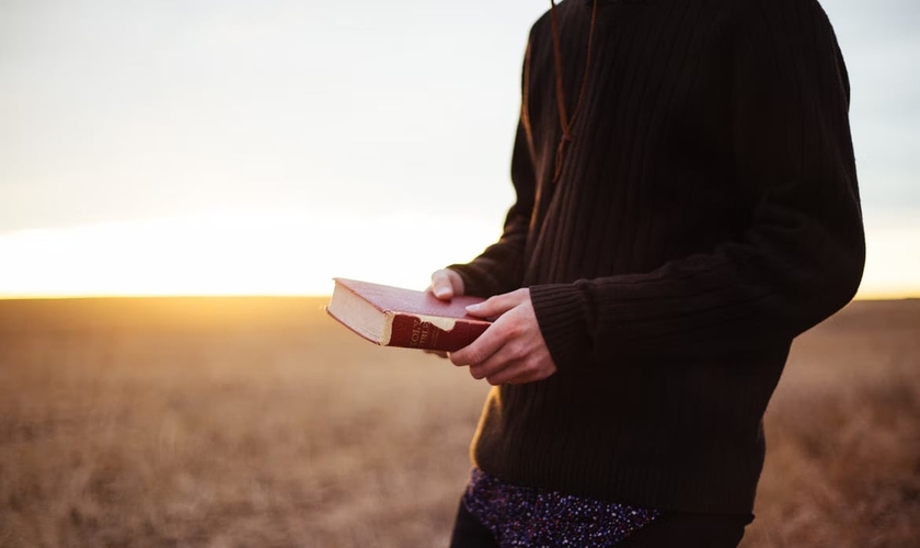 No segundo domingo de junho é comemorado o Dia do Pastor. (Foto representativa: Unsplash)
