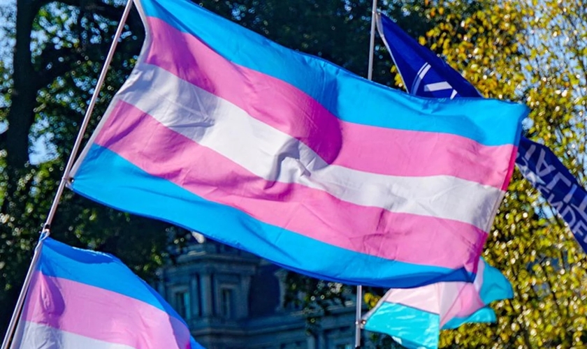 Bandeira transgênero. (Foto: Ted Eytan/Creative Commons)