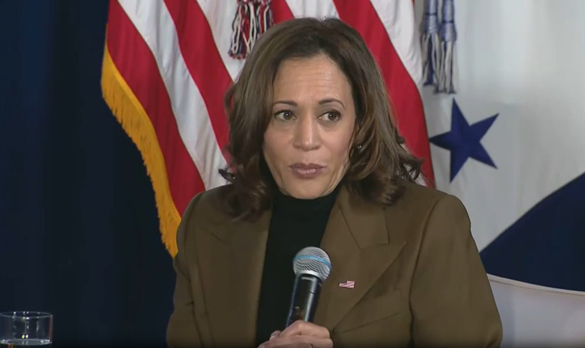 Kamala Harris, vice-presidente dos EUA. (Captura de tela/Fox News)