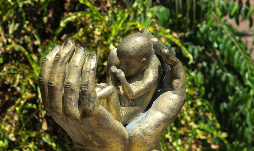 Imagem simbólica de proteção à vida. (Foto: Reprodução/Pixabay)