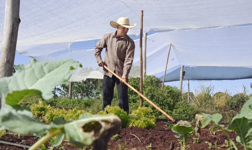 Prudencio plantou alface para construir igreja. (Foto: MultimediaUP).