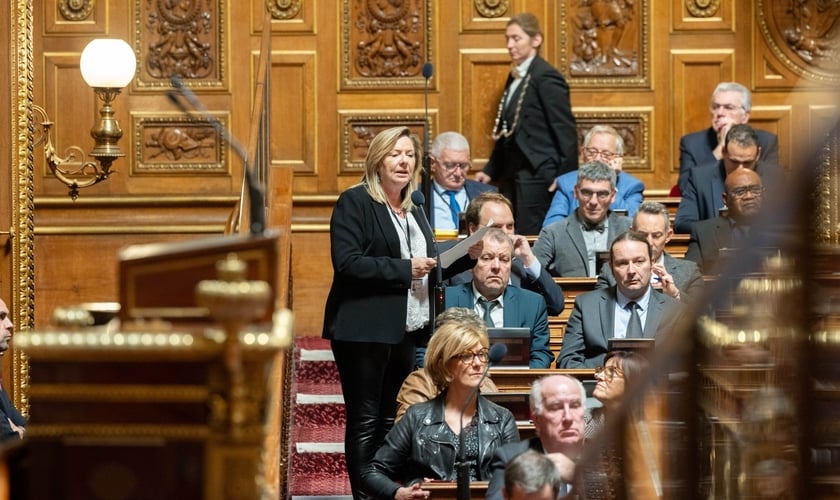 Imagem de um debate no Senado na França, novembro de 2023. (Foto: Facebook/Senado da França).