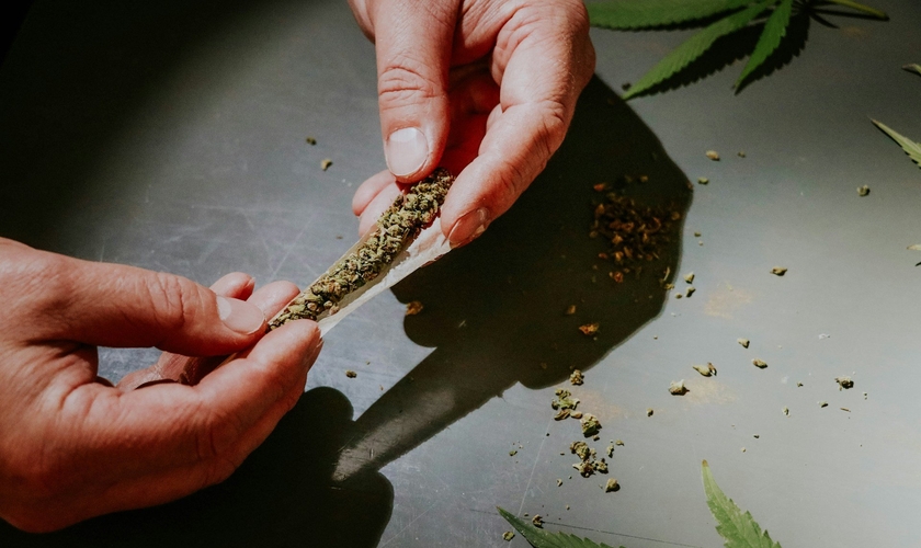 Maioria dos brasileiros são contra a liberação da maconha. (Foto ilustrativa: Unsplash/Elsa Olofsson)