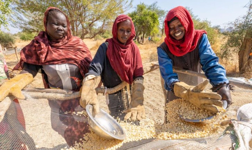 As mulheres ajudam a separar e distribuir os alimentos. (Foto: Reprodução/Samaritan's Purse)