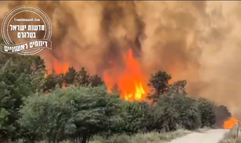 Incêndios suspeitos se espalham perto de Jerusalém. (Captura de tela/Instagram/jewishbreakingnews)
