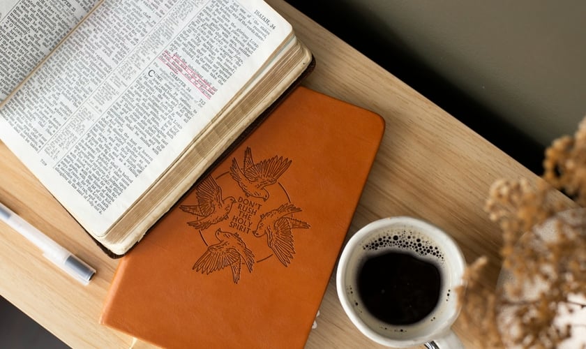 Imagem ilustrativa. (Foto: Unsplash/Priscilla Du Preez).