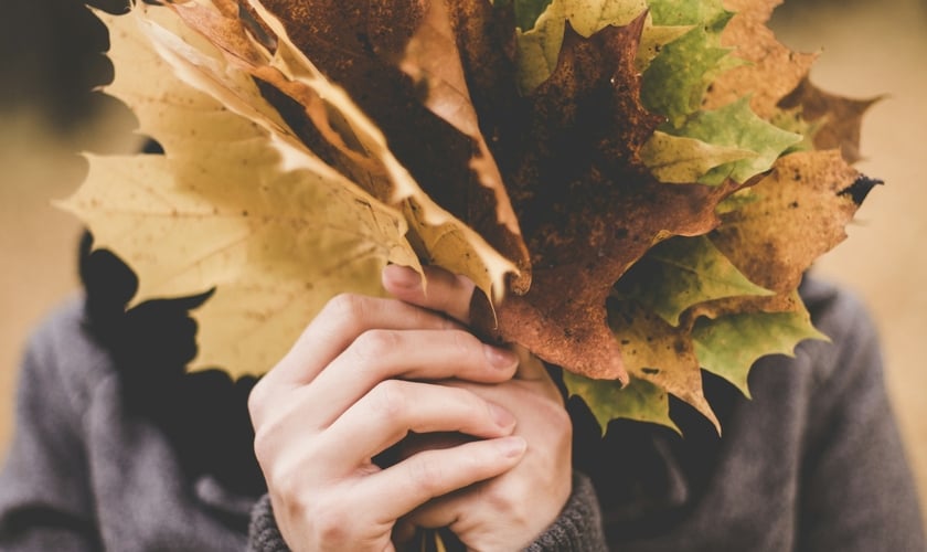 (Foto: Unsplash/Arturrro)