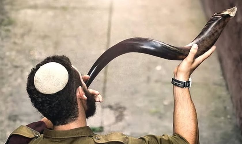 (Foto: IDF)