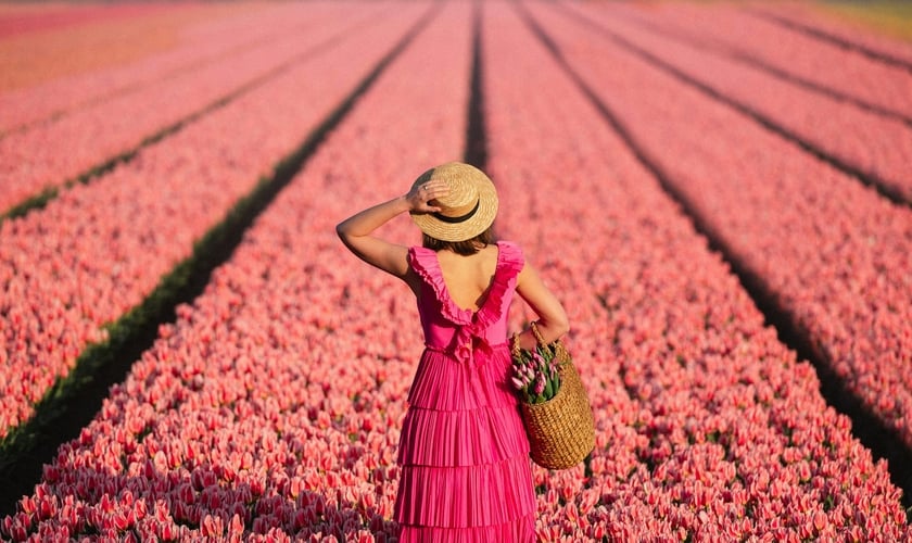 (Foto: Unsplash/The Now Time)