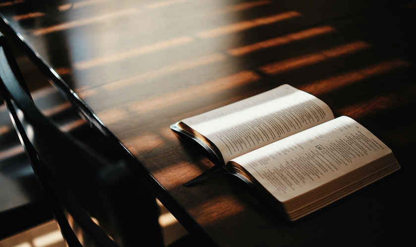 (Foto: Unsplash/Aaron Burden)