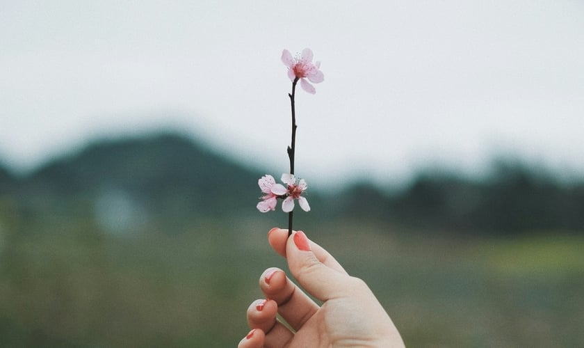 (Foto: Thirteen .J / Unsplash)