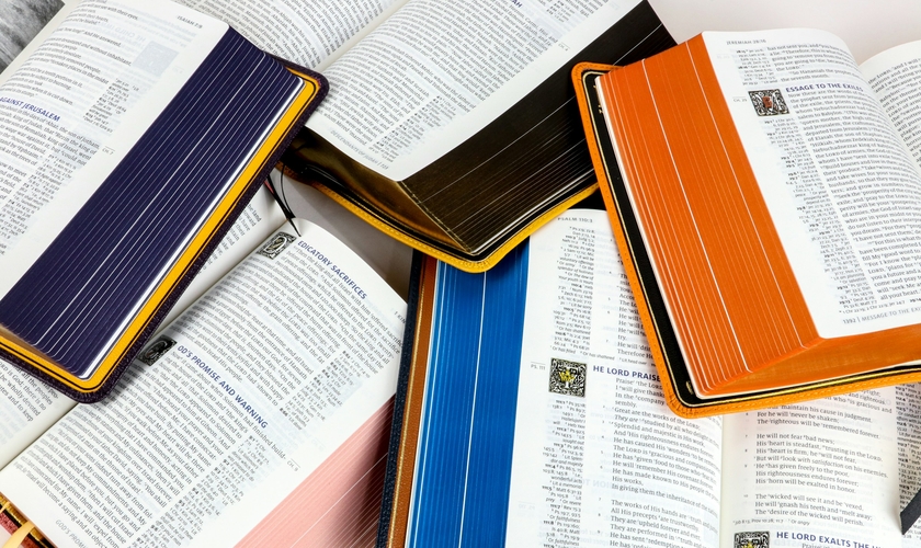 Imagem ilustrativa. (Foto: Unsplash/Humble Lamb).