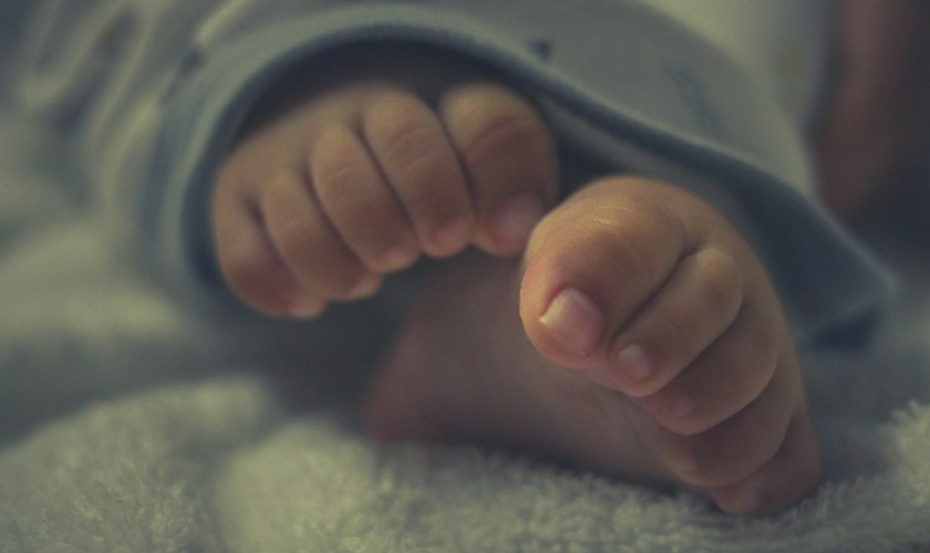 Imagem ilustrativa. (Foto: Unsplash/James V Sajeeve)