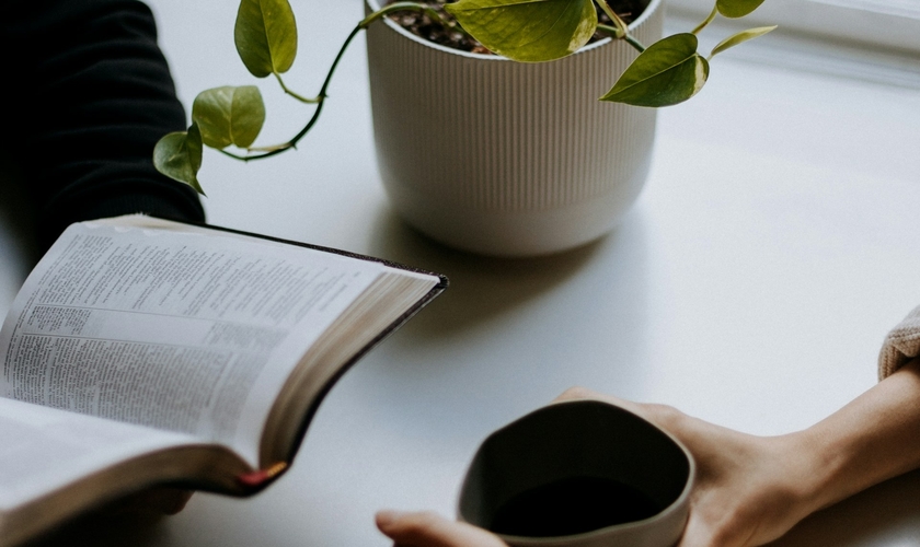 (Foto: Unsplash/Priscilla Du Preez)