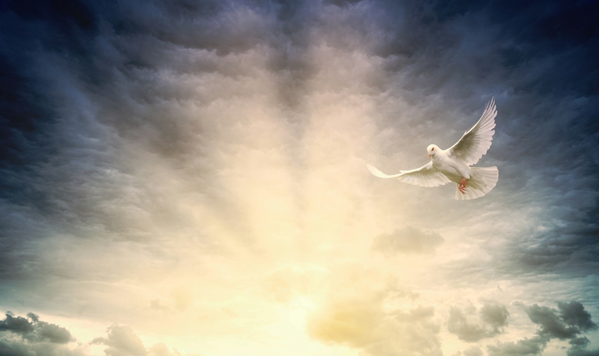 (Foto: Johannes Plenio / Unsplash)