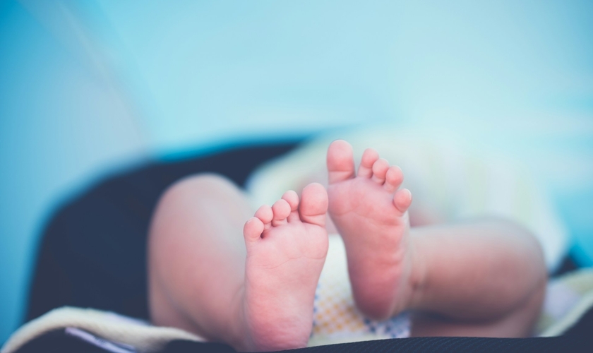 A divulgação da pesquisa provocou reações divididas na comunidade científica. (Foto: Janko Ferlič / Unsplash)