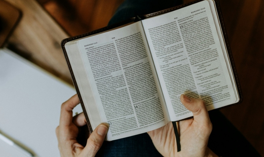 Imagem ilustrativa. (Foto: Unsplash/Kelly Sikkema).