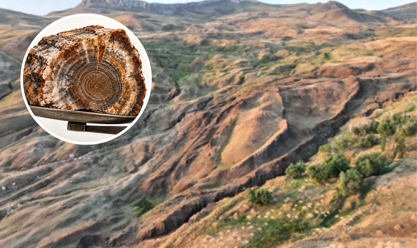 Formação de Durupınar, possível local da Arca de Noé; em destaque, representação de madeira petrificada, material possivelmente atingido pela perfuração. (Captura de tela: YouTube/Noah’s Ark Scans)