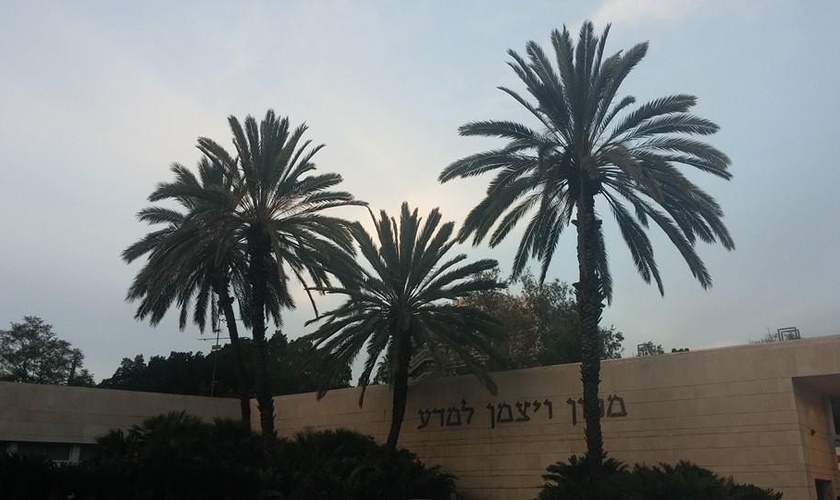 Palmeiras em frente ao Instituto Weizmann de Ciências, em Israel. (Foto: Instituto Weizmann)