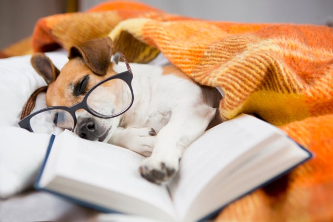 10 dicas para aproveitar as férias sem prejudicar os estudos