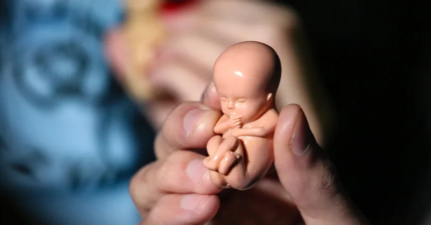 ONG dos EUA realizou 81 abortos para cada busca por adoção em 2019