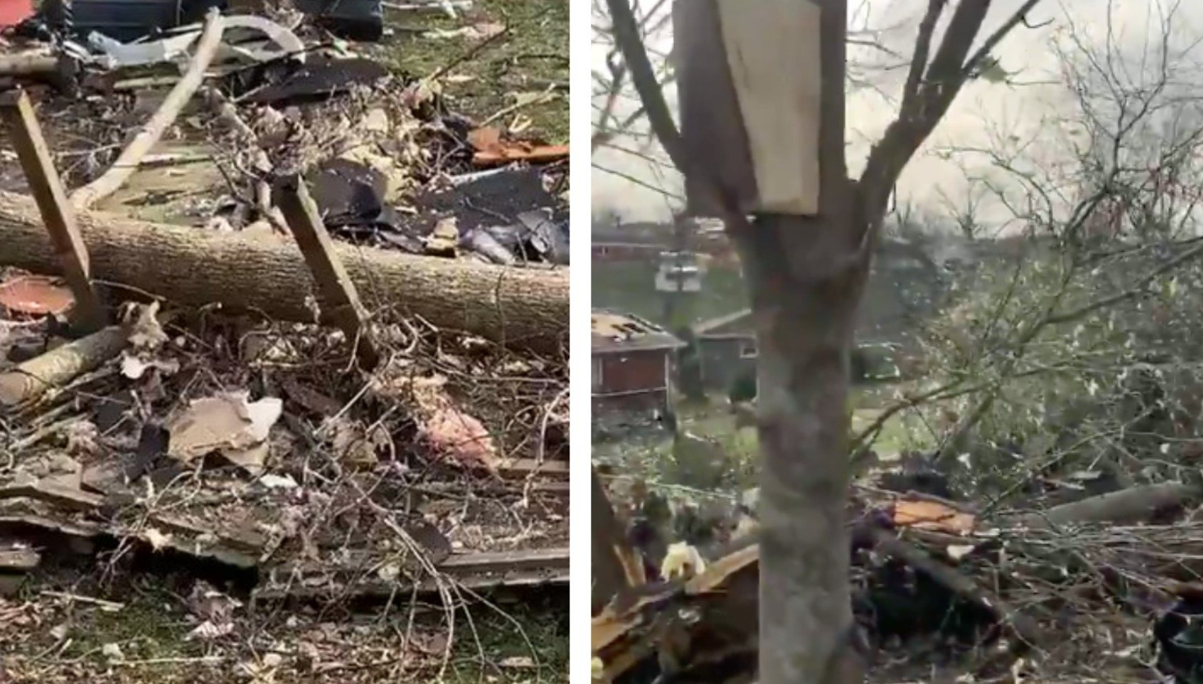 Bíblia é encontrada intacta entre galhos de árvore após tornado em Nashville