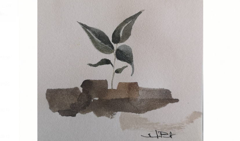 O Reino é mais semente plantada do que pedra atirada