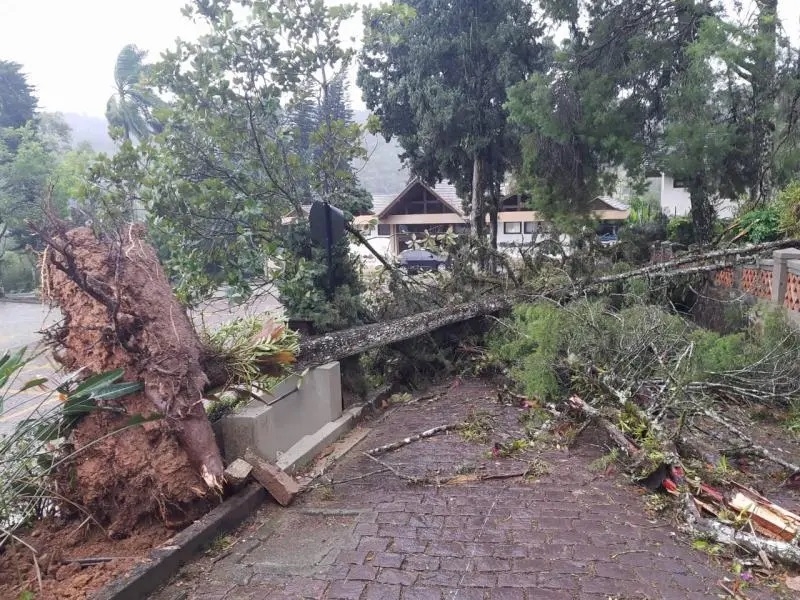 Ciclone bomba deixa igrejas destruídas em Santa Catarina