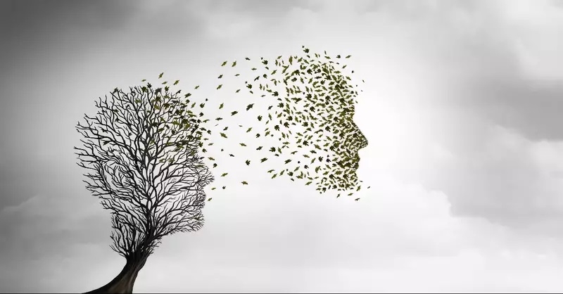 Meu mundo num momento