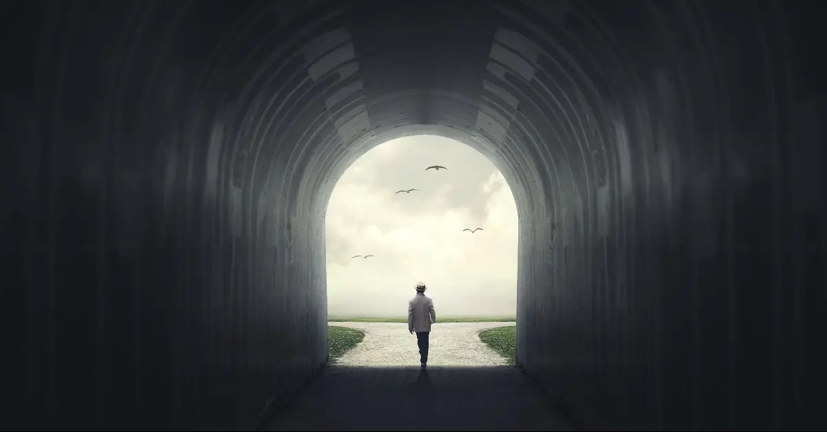 Voltar não é uma opção