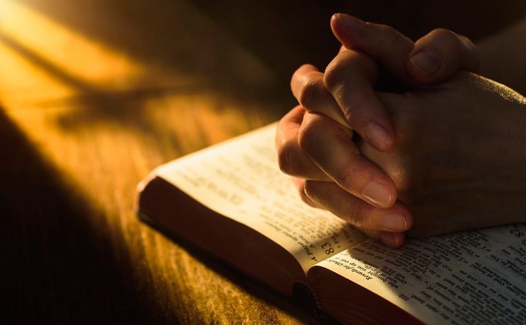 Felizes aqueles que não se deixam levar pelo conselho dos maus