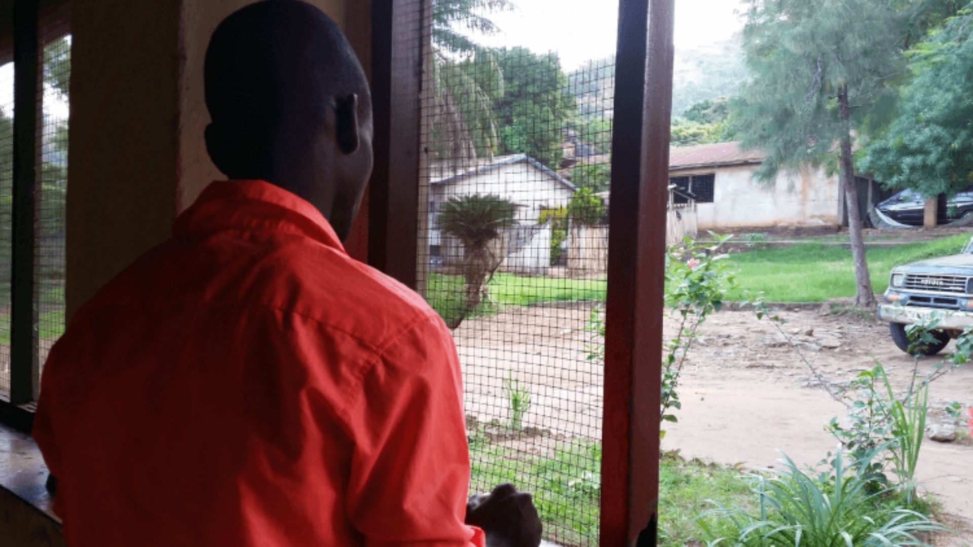 Países que perseguem a Igreja: como vivem os cristãos no Congo
