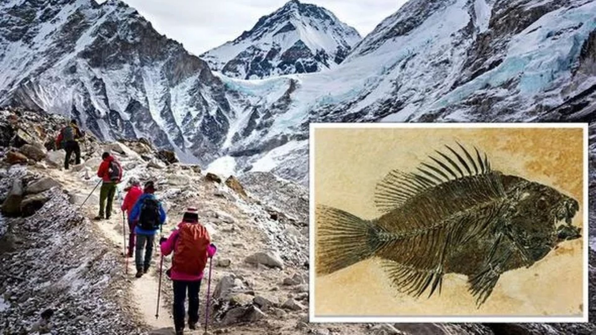 Fósseis marinhos encontrados no topo do monte Everest podem ser a prova do dilúvio bíblico