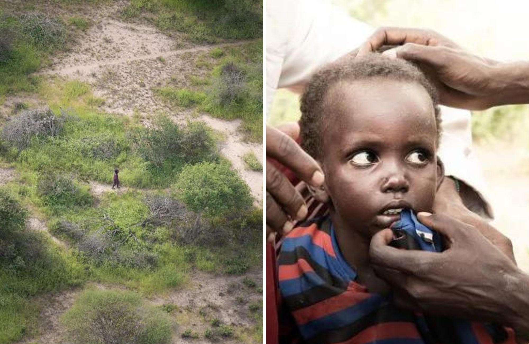 Piloto encontra menino de 4 anos ileso após 6 dias perdido em selva: ‘Foi um milagre’