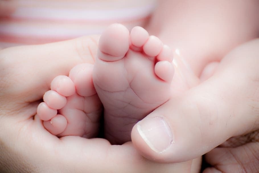 Universidade nos EUA é acusada de usar bebês abortados em experiências: “Atrocidade humana”