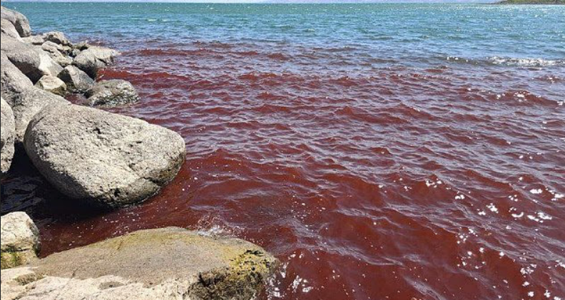 Cenário de milagres de Jesus, Mar da Galileia amanheceu tingido de vermelho