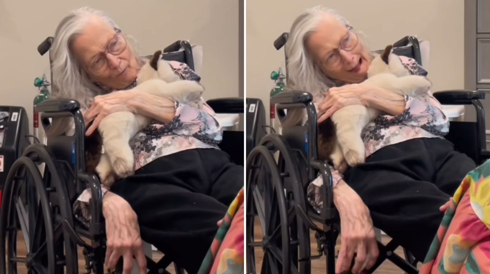 Você Não Tá Convidada pro Meu Bat Mitzvá!