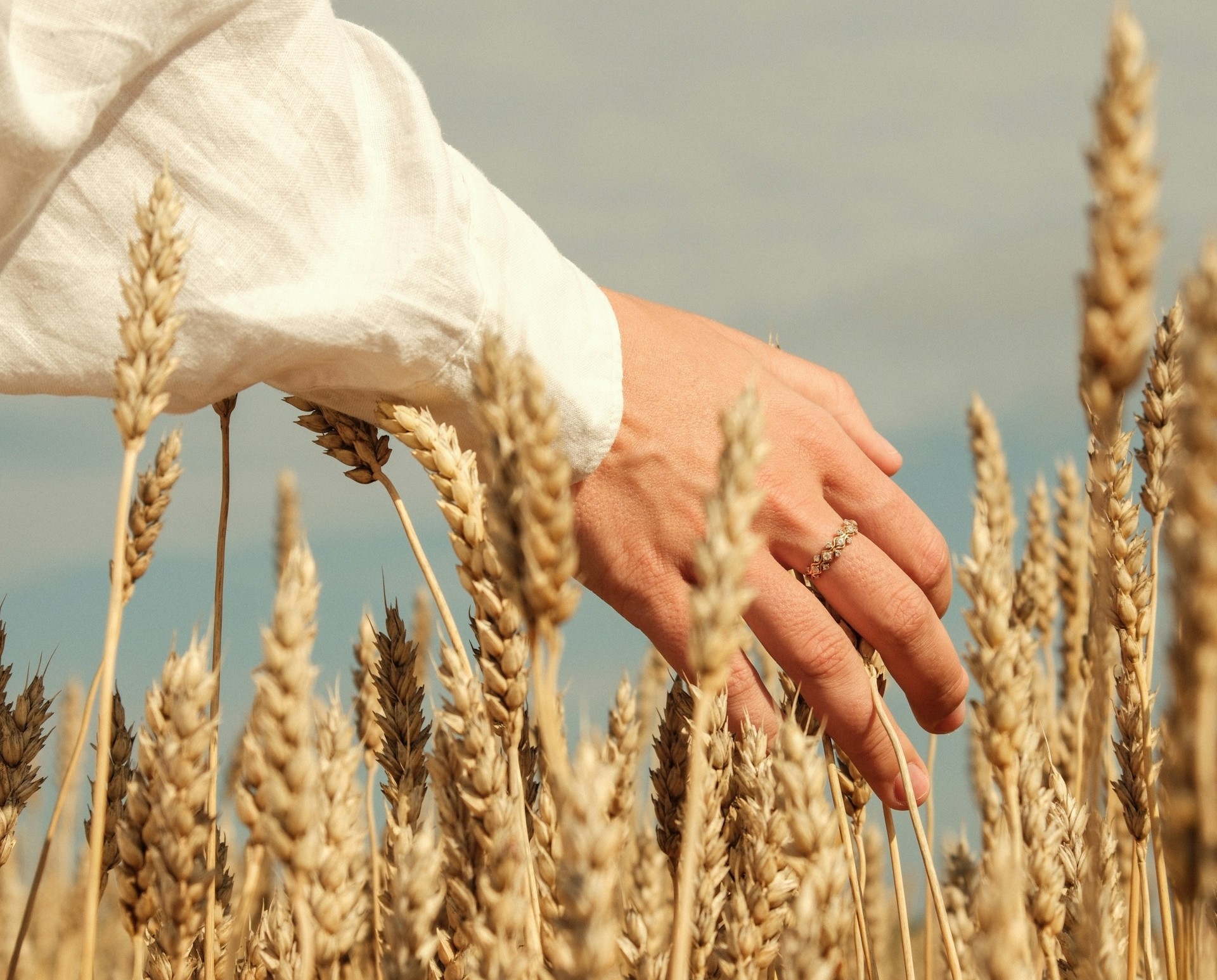 Seja fiel no deserto e veja seu milagre florescer