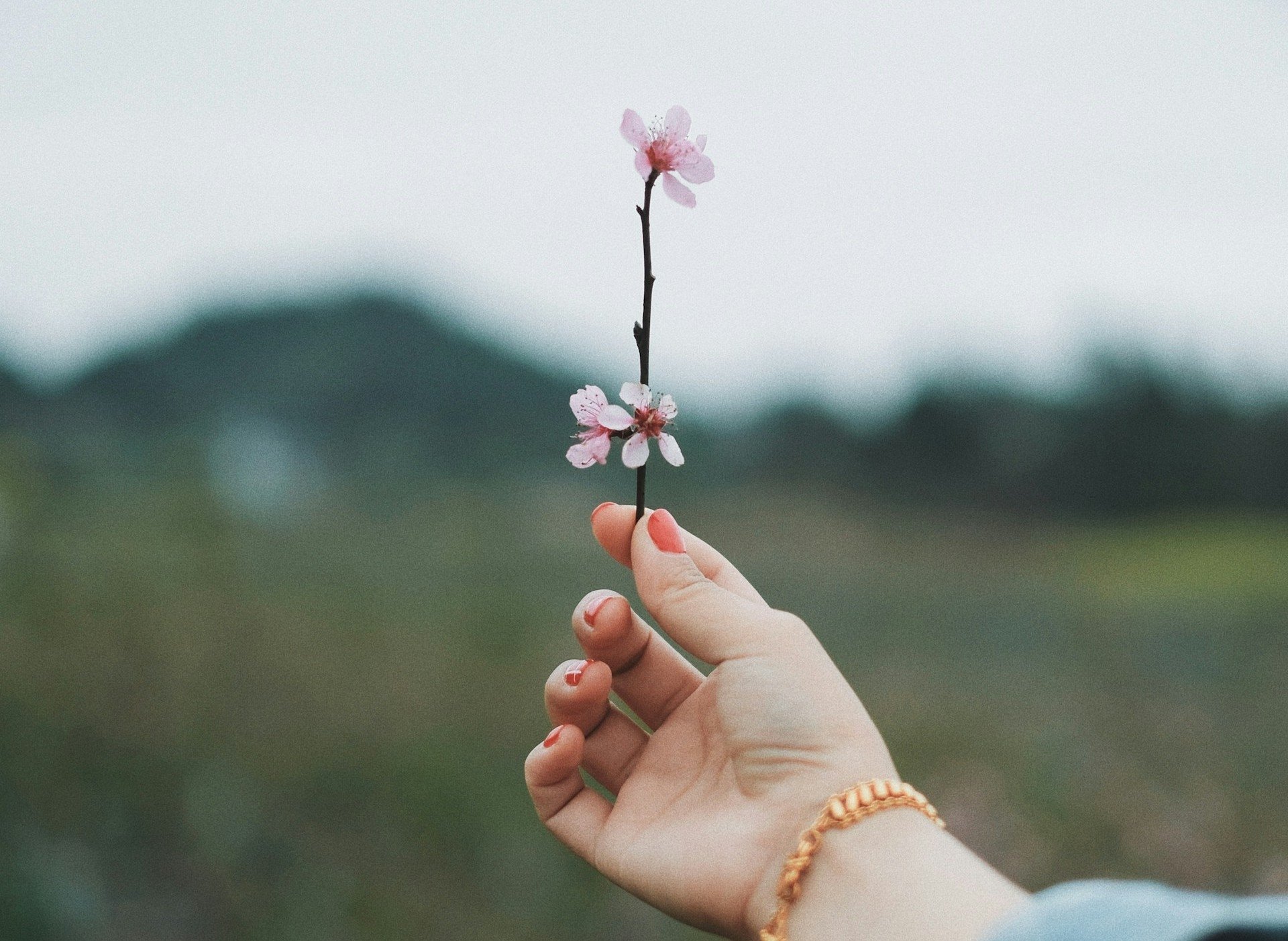 Reacendendo o propósito