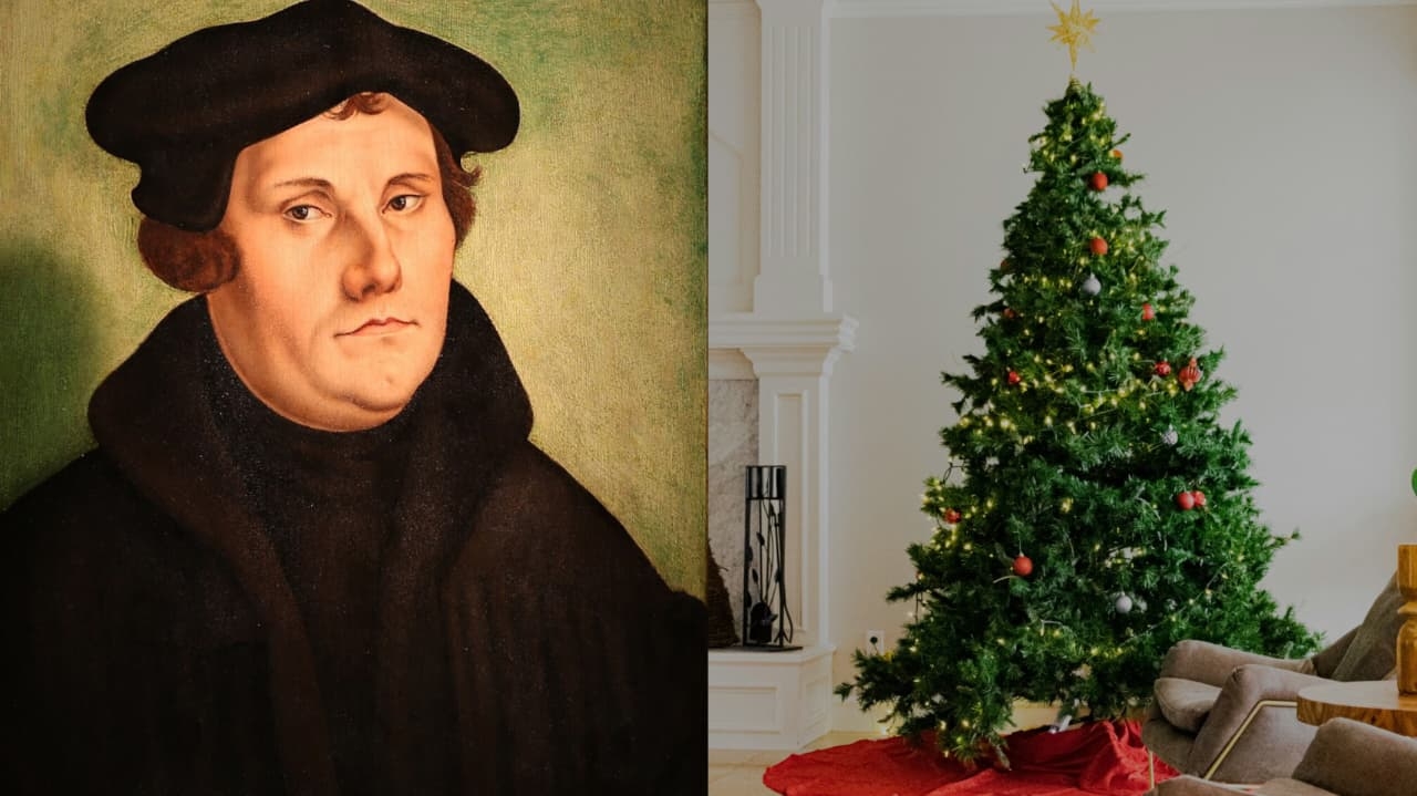 Árvore de Natal foi criada por Lutero na Alemanha? Estudiosos respondem