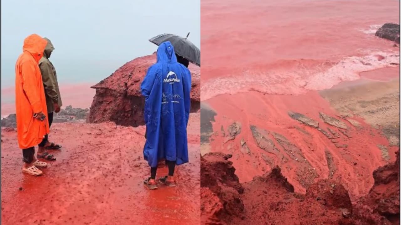 Você Não Tá Convidada pro Meu Bat Mitzvá!