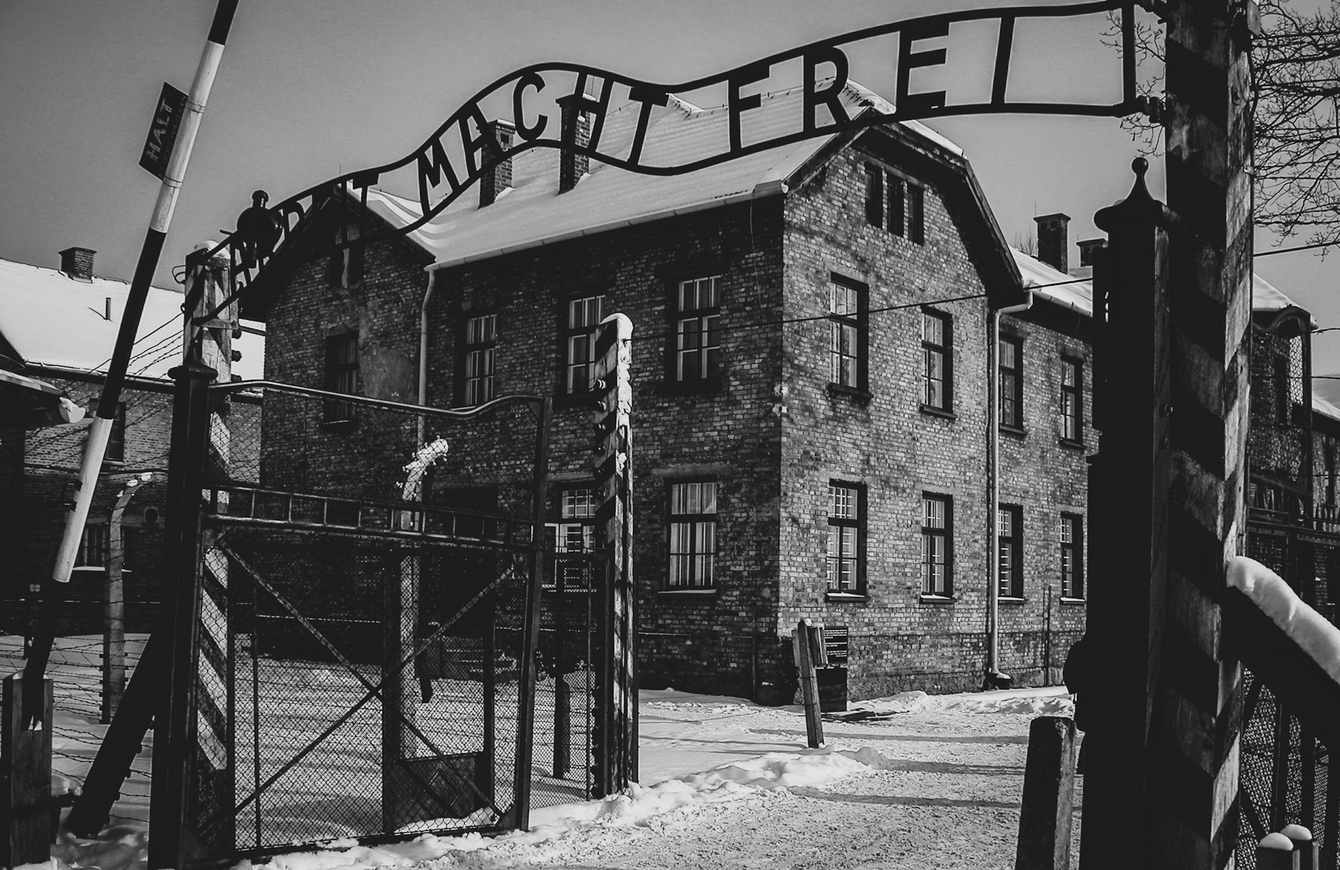 1 em cada 5 brasileiros nunca ouviu falar do Holocausto, aponta pesquisa